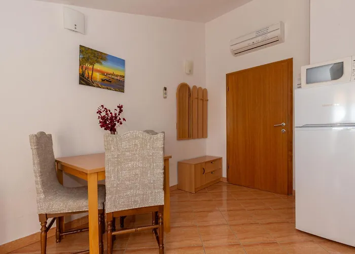 Dalmata Biograd Biograd Na Moru