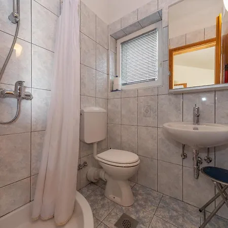 Dalmata Biograd Na Moru