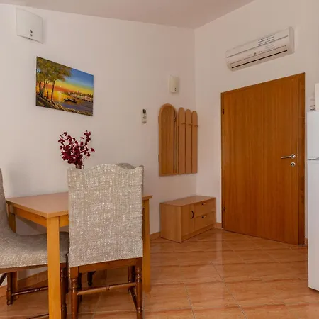 Dalmata Biograd Biograd Na Moru