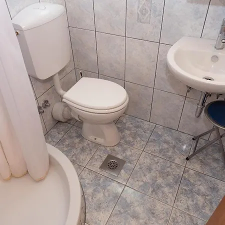 Dalmata Biograd Na Moru