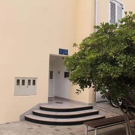 Dalmata Biograd Biograd Na Moru