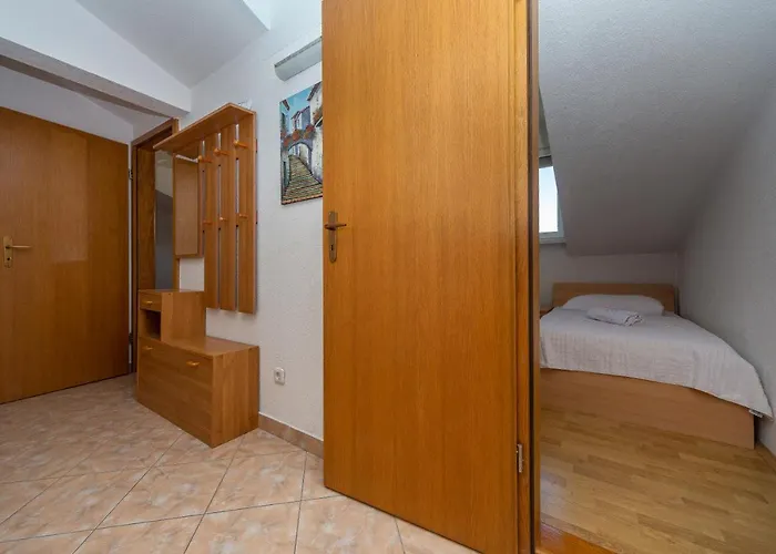 Dalmata Biograd Biograd Na Moru