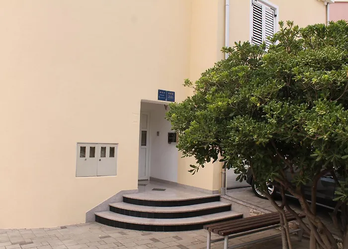 Dalmata Biograd Biograd Na Moru
